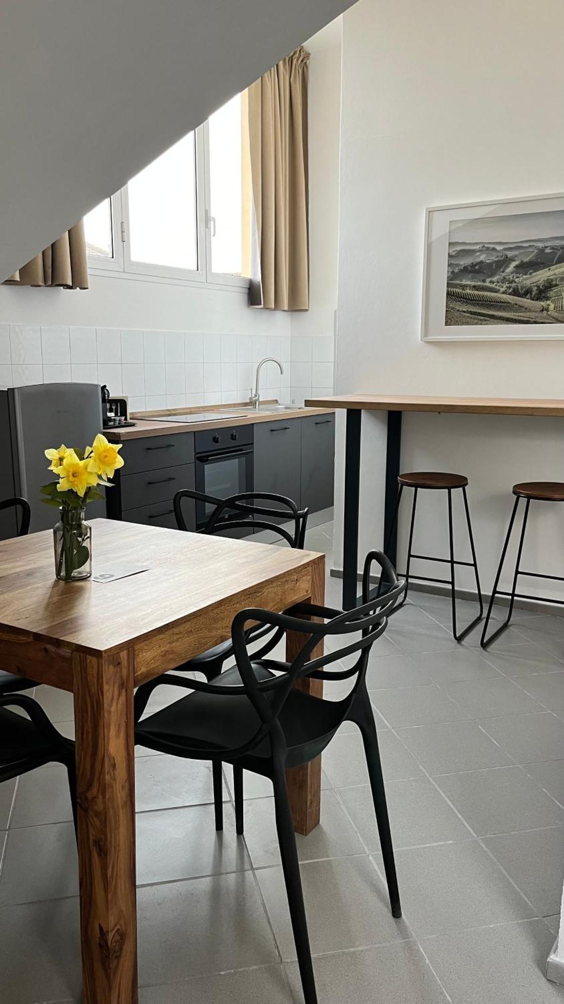 San Martino Holiday Apartments Nizza Monferrato Exteriér fotografie